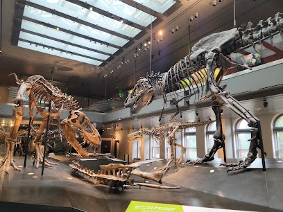 Natural History Museum of Los Angeles County
